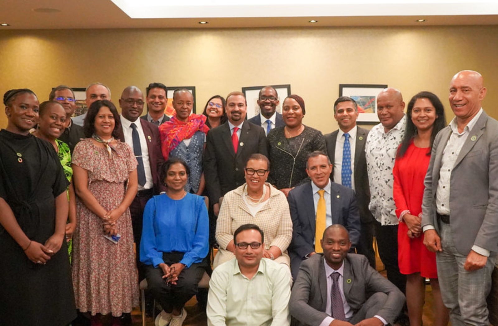 Commonwealth Climate Finance Access Hub Advisers