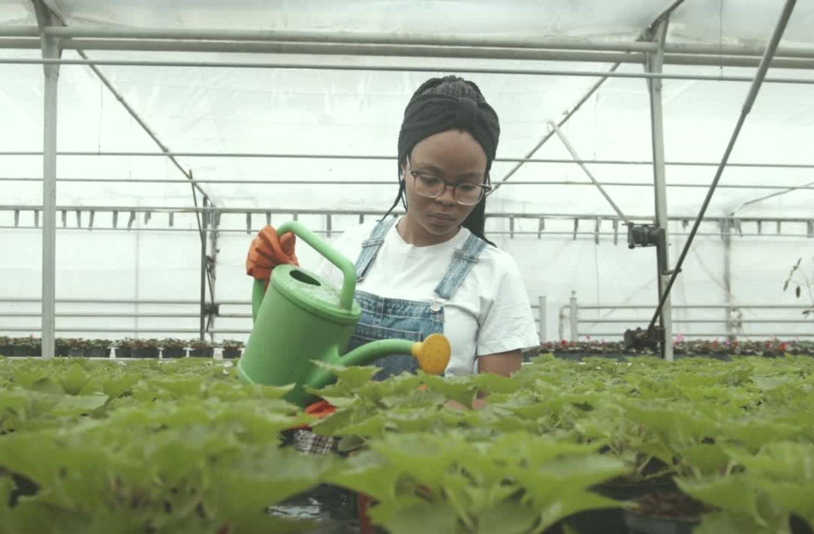 A woman waters some plants