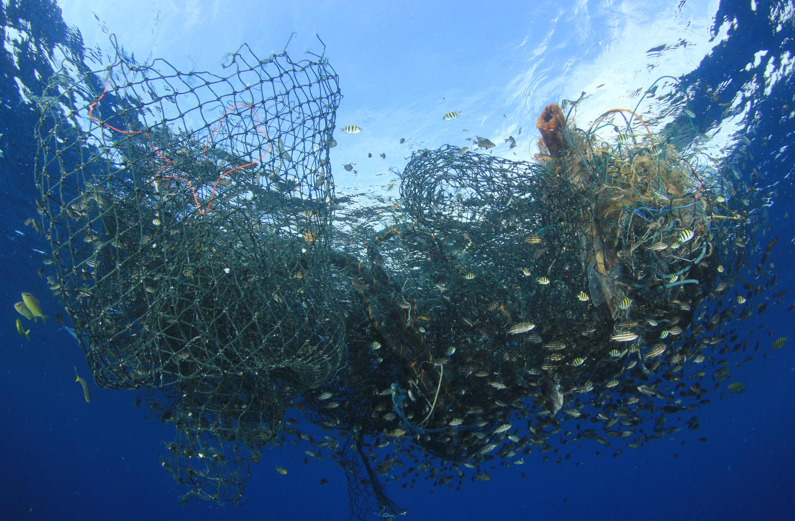 abandoned fishing net