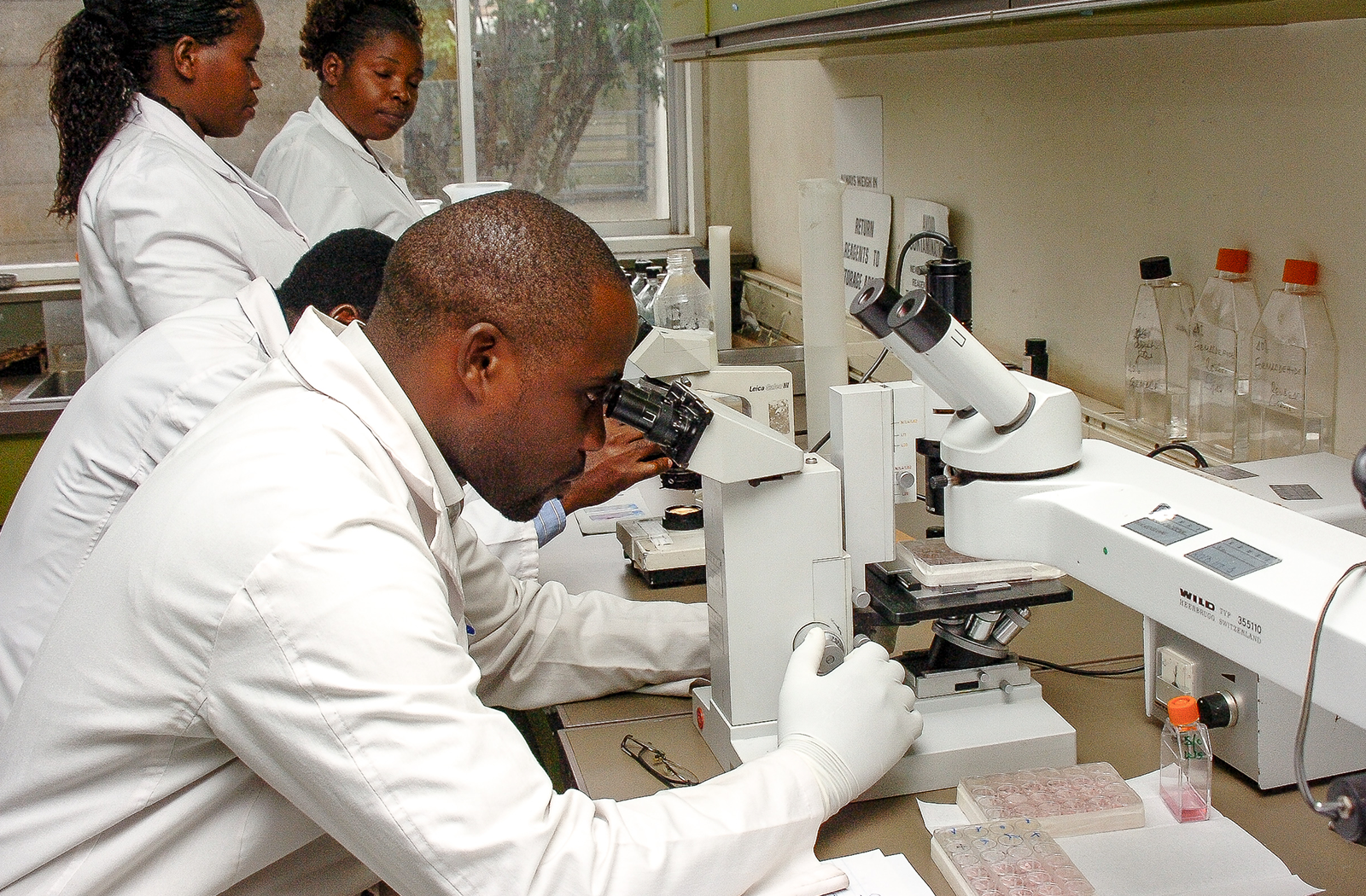 New Commonwealth network to support knowledge exchange on medicines and vaccine procurement  