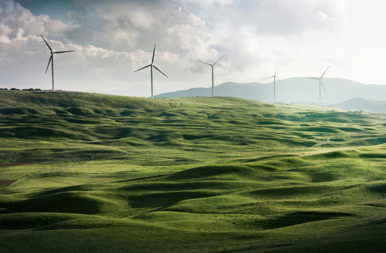 windmills