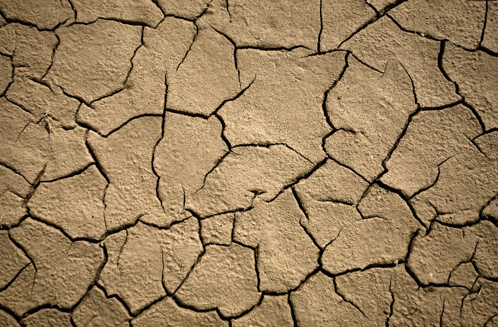 drought