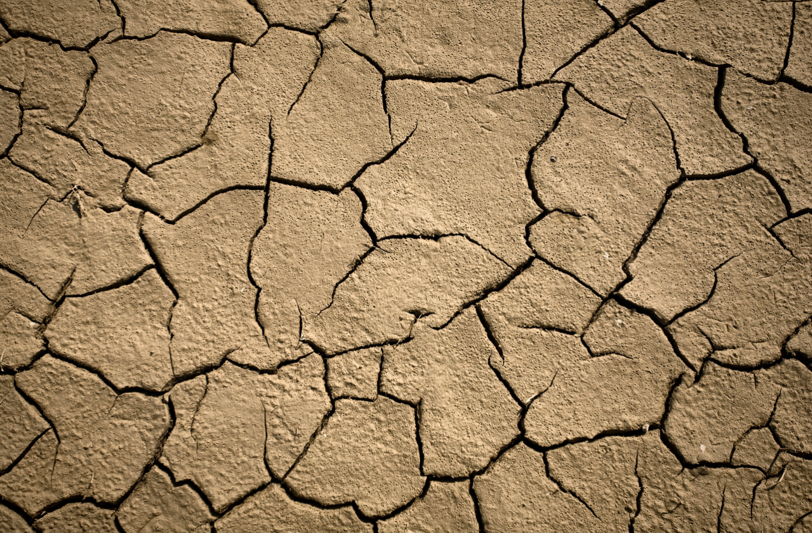 drought