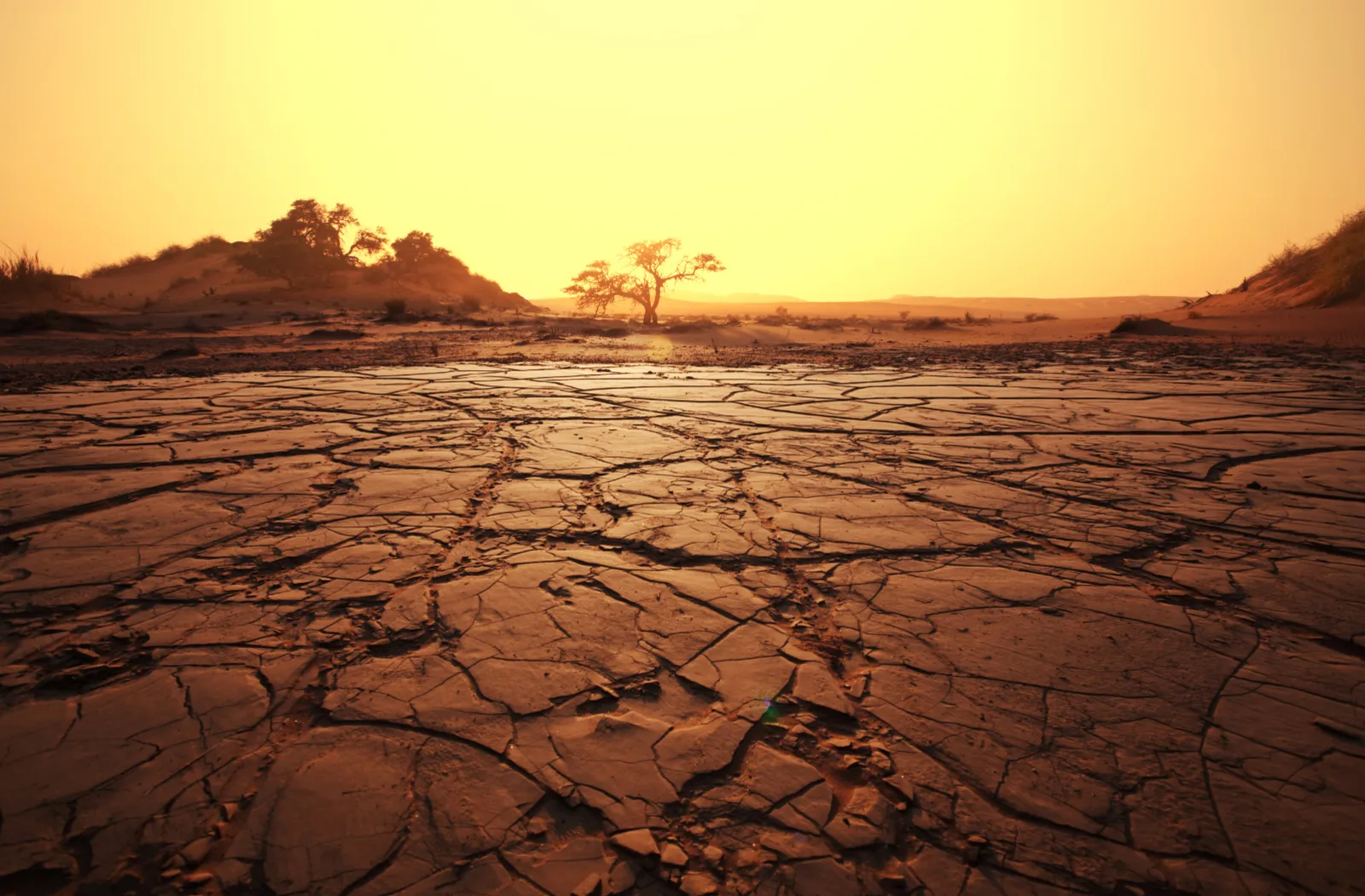 drought-in-kenya