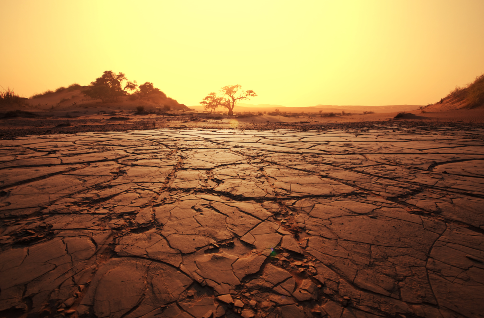 drought-in-kenya