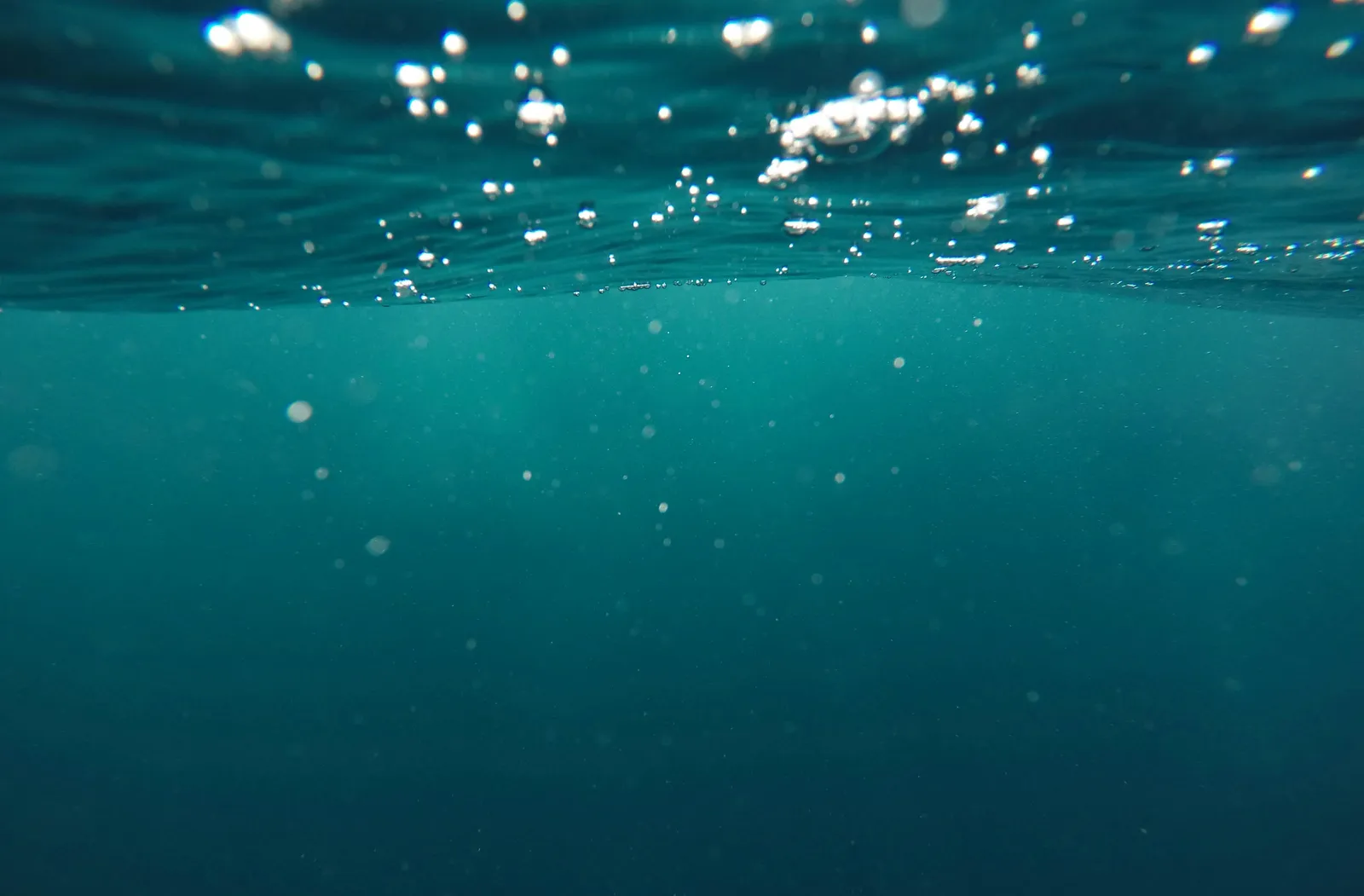 ocean