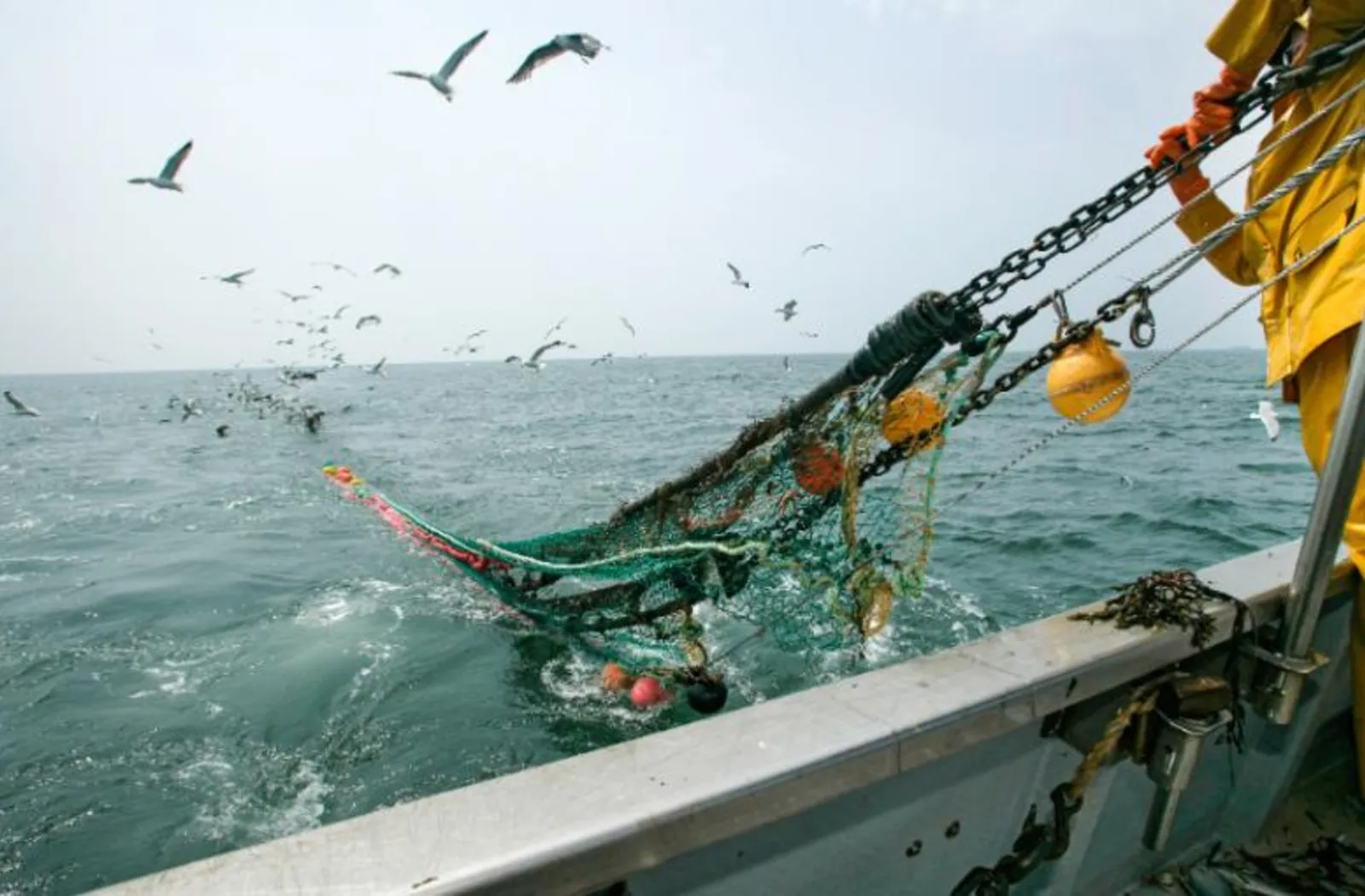 Someone using a trawler in the ocean