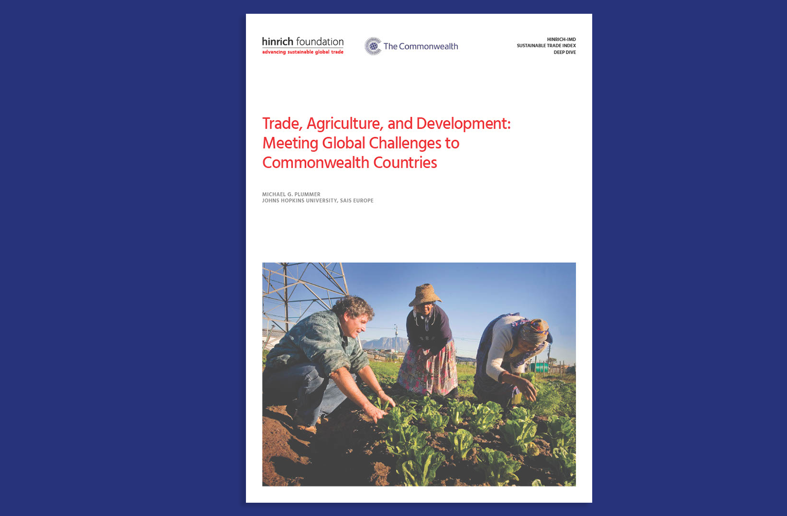 Cover of Hinrich report