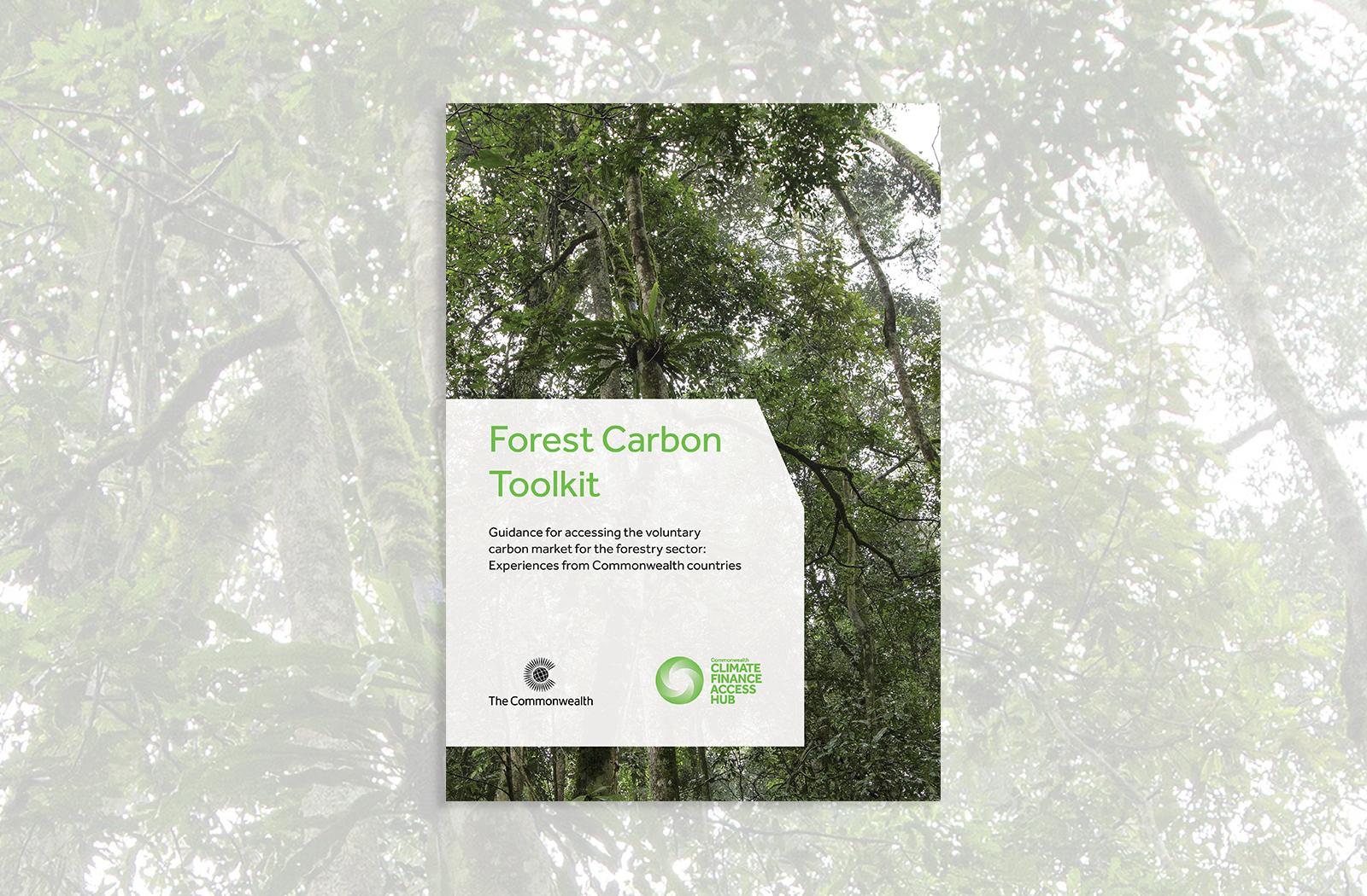 Cover image of Forest Carbon Toolkit