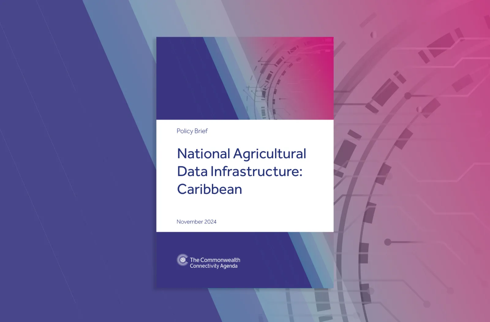 Cover image of CCA Policy Brief - Caribbean