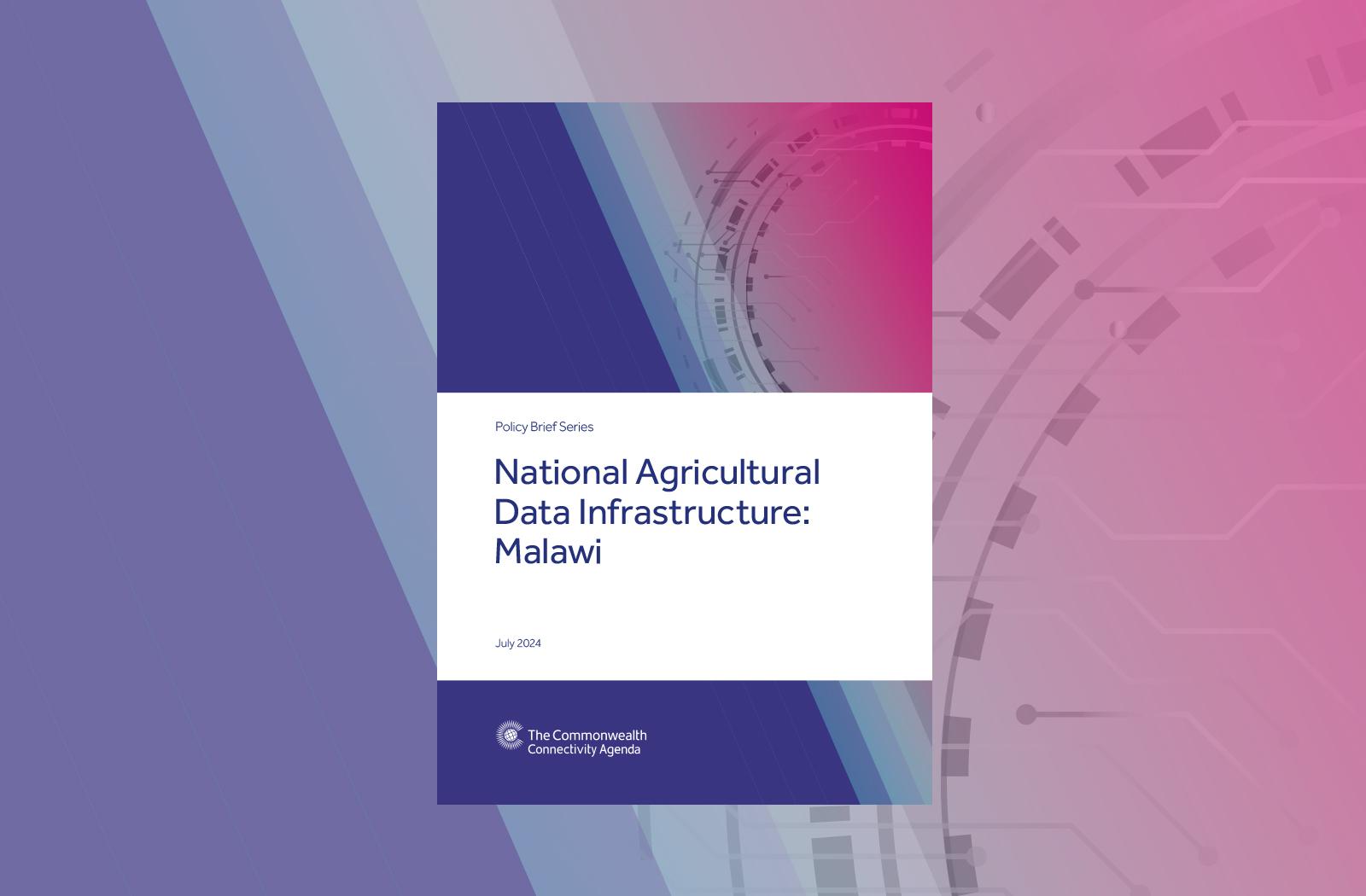 Cover image of CCA Policy Brief A5