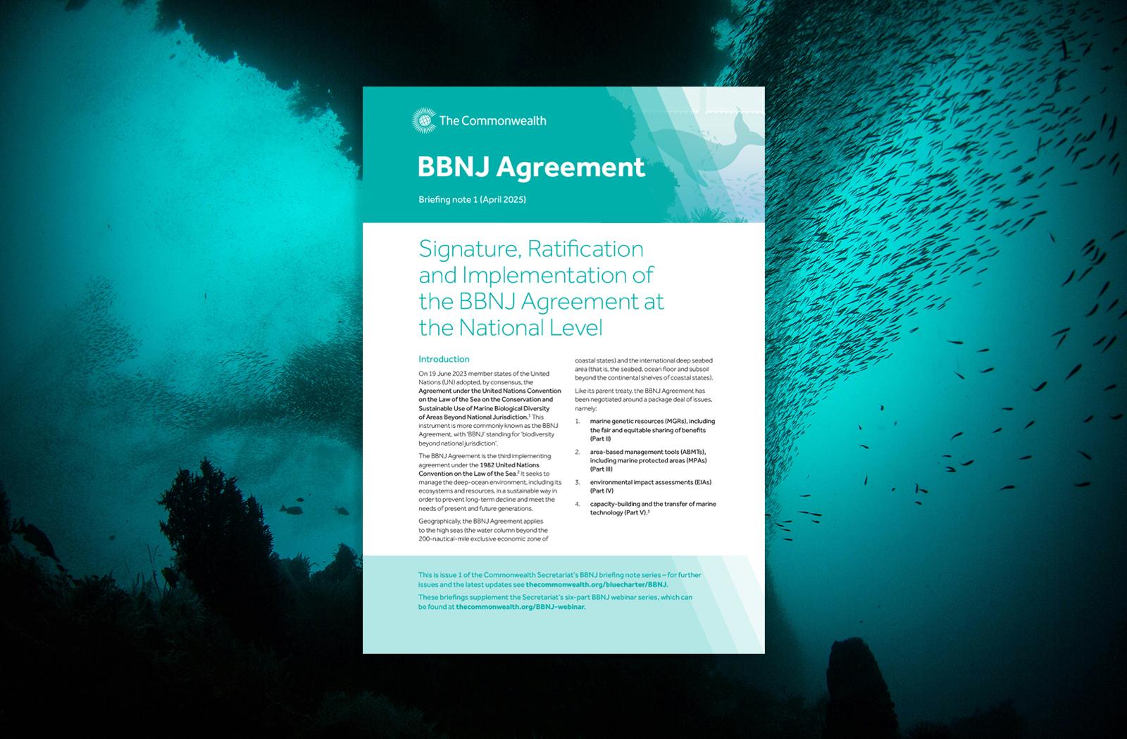 Cover image of the first BBNJ Agreement briefing note