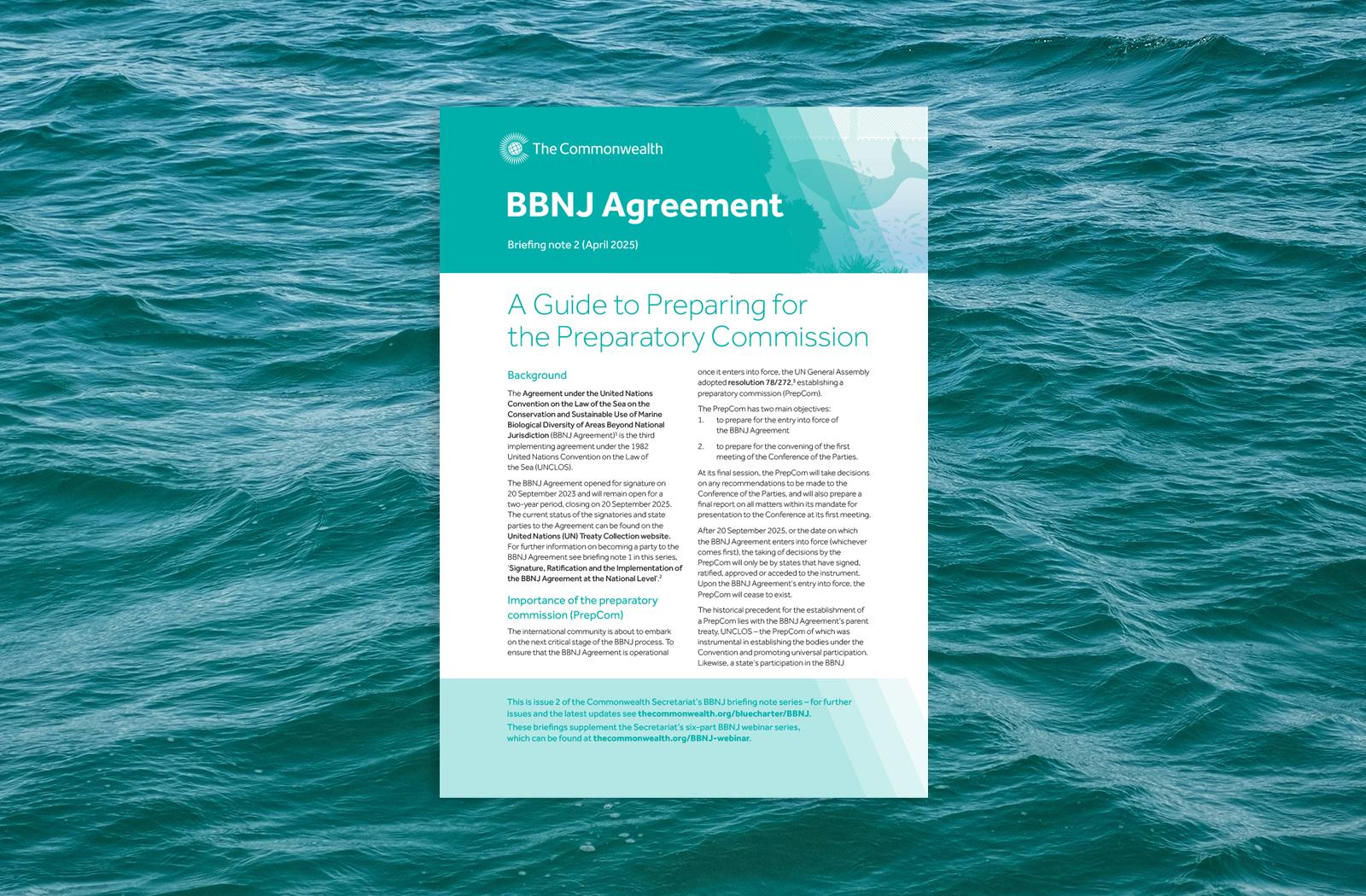 Cover image of the second BBNJ Agreement briefing note