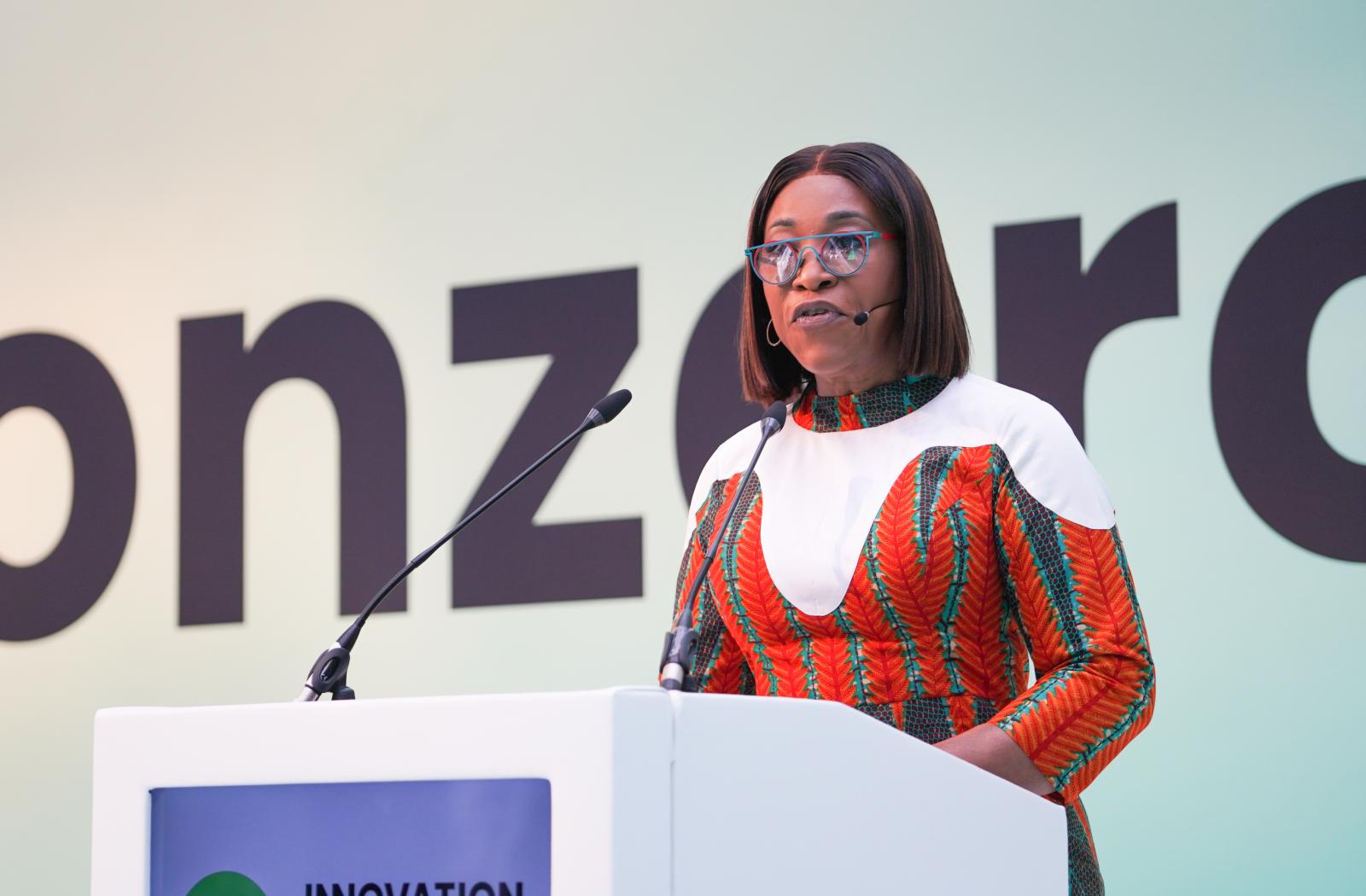 Secretary General at Net Zero World Congress