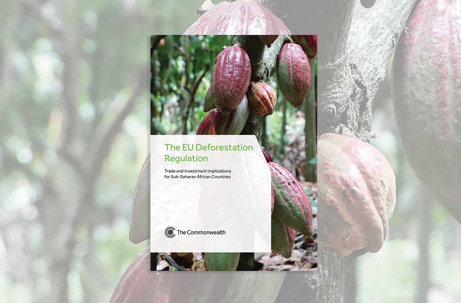 Cover image of EU Deforestation Regulation