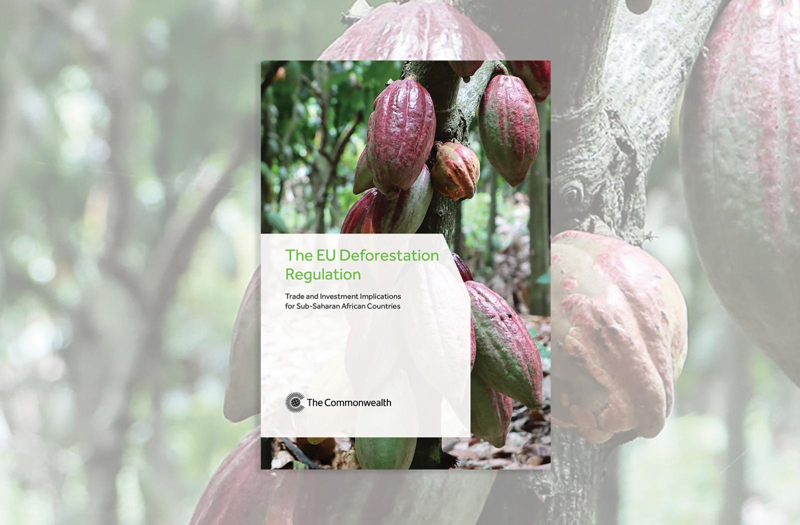 Cover image of EU Deforestation Regulation