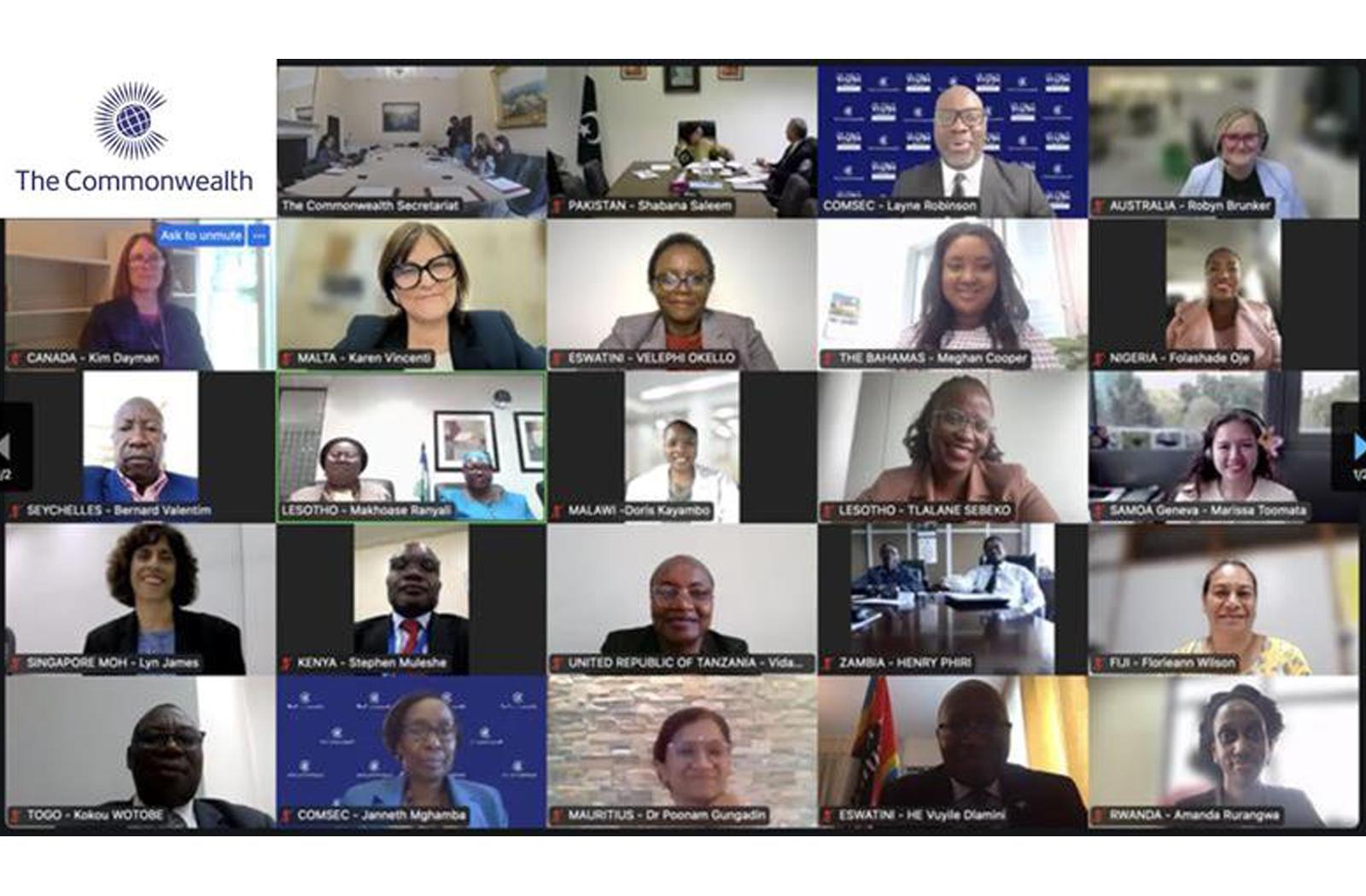 senior government officials from health ministries