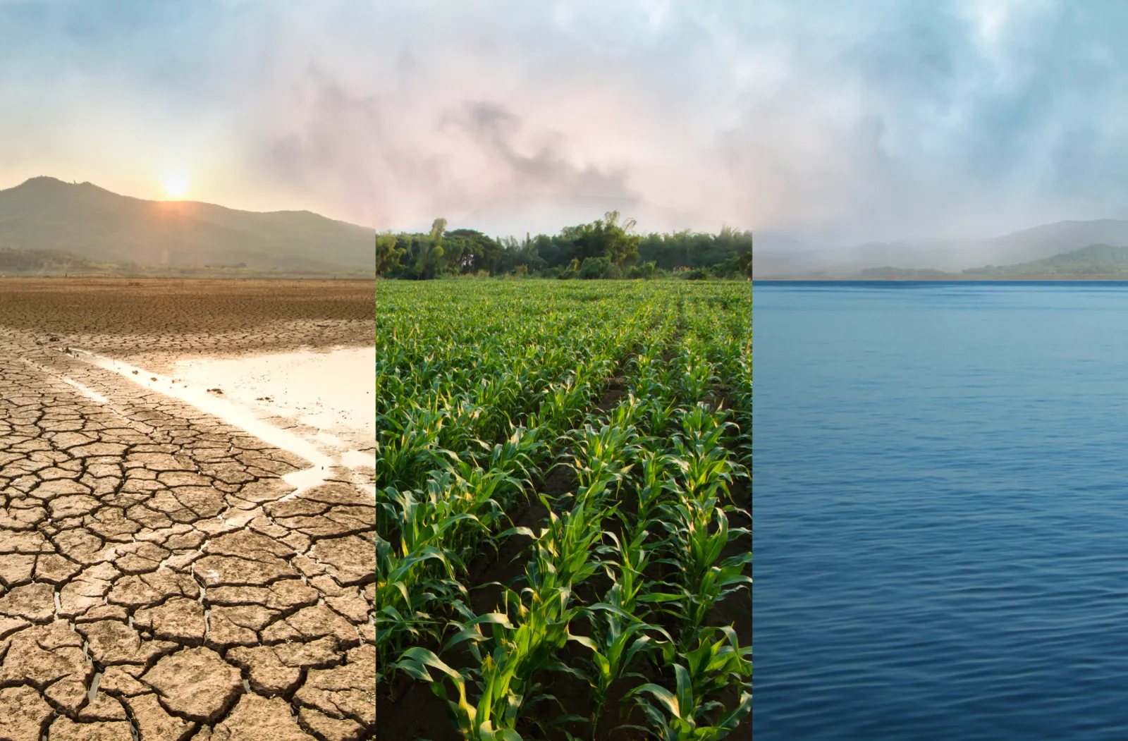 climate