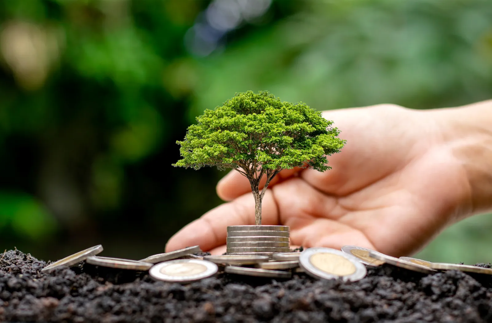sustainable debt