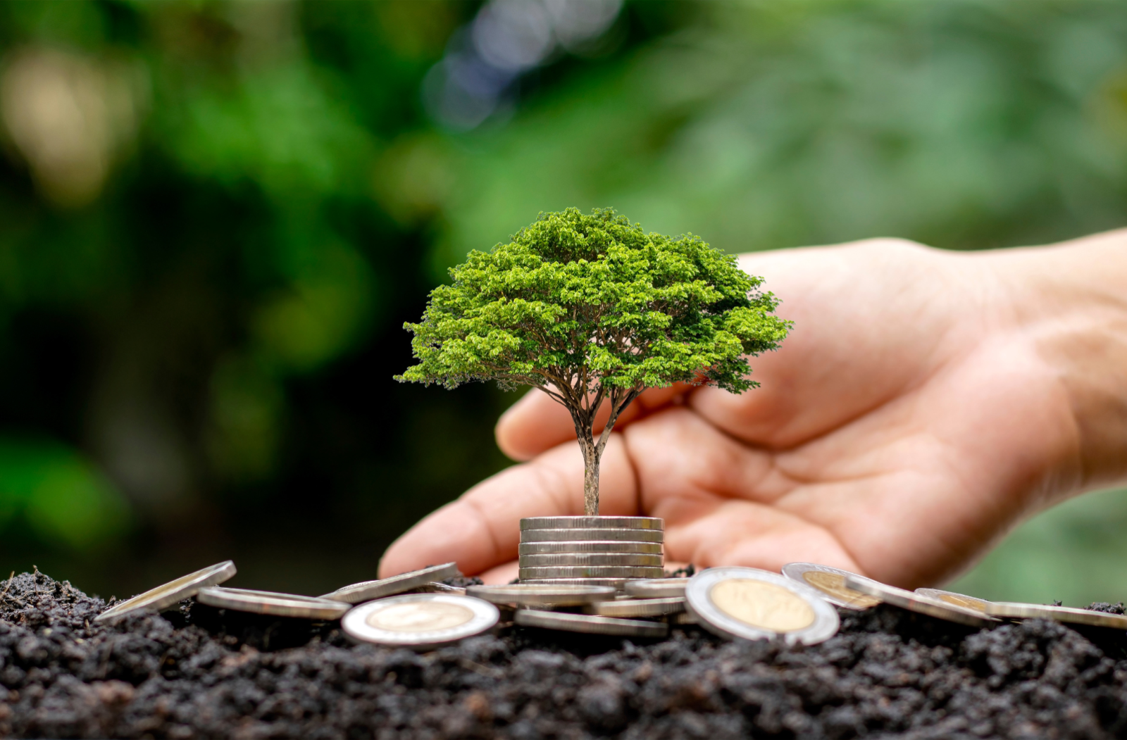 sustainable debt