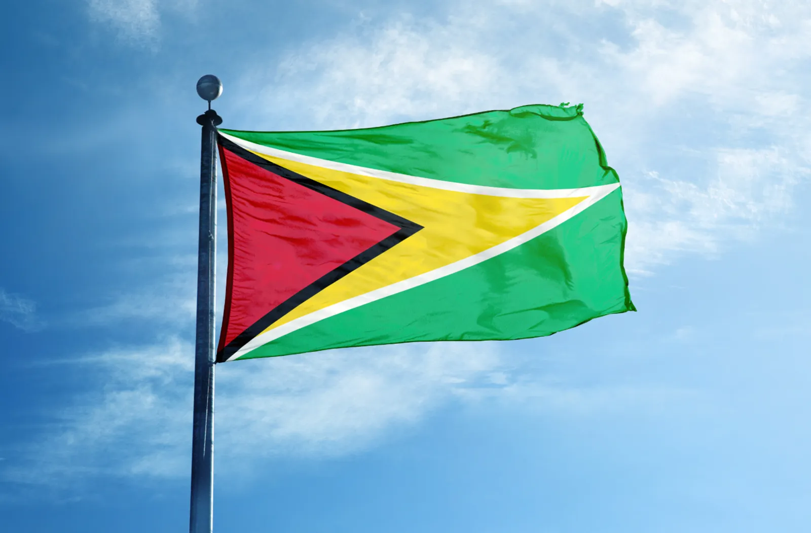 Guyana flag