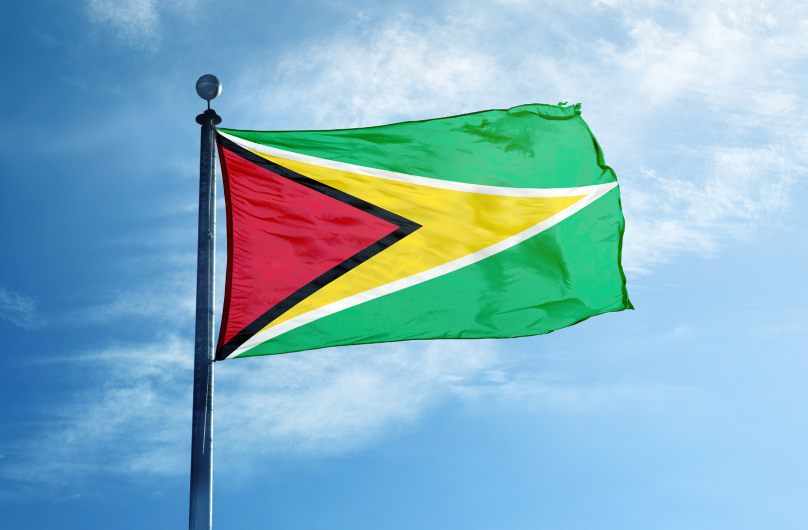 Guyana flag