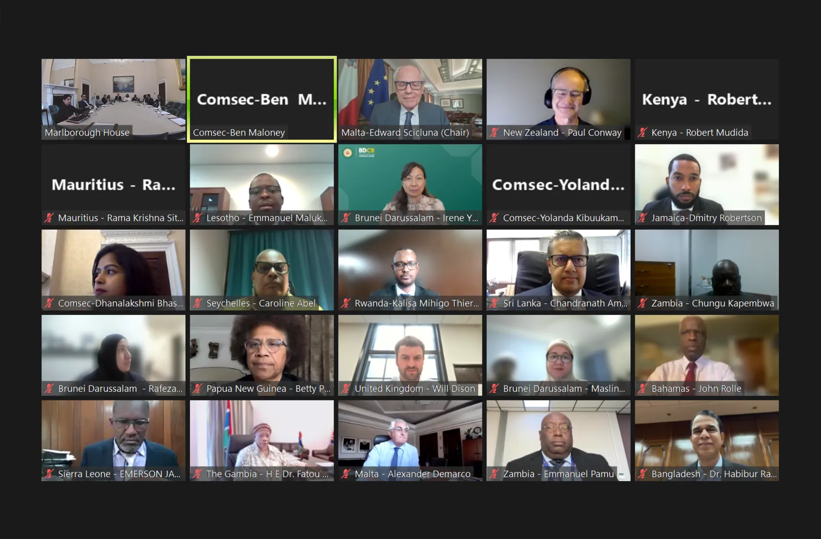 Zoom screenshot from meeting