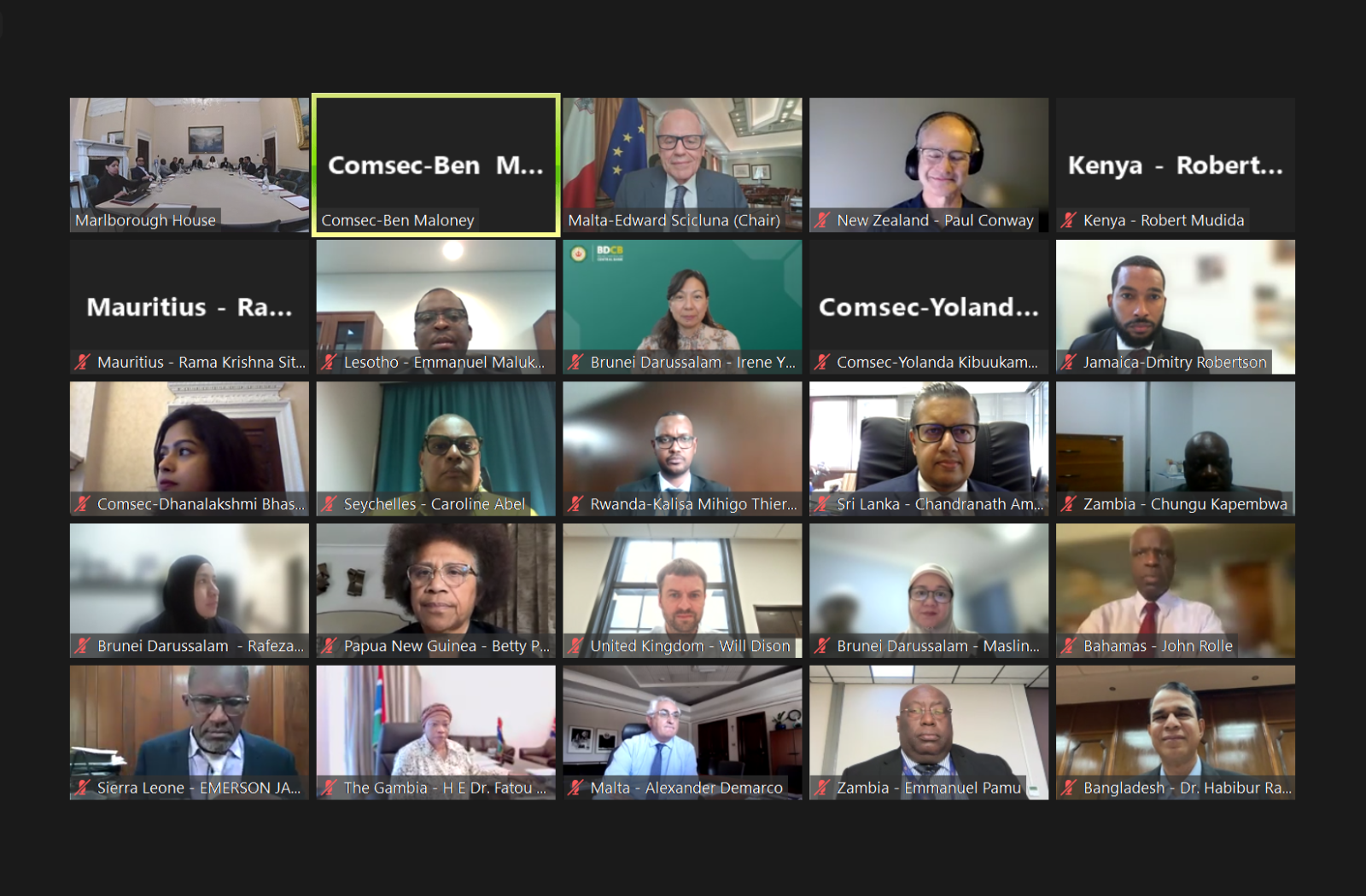 Zoom screenshot from meeting
