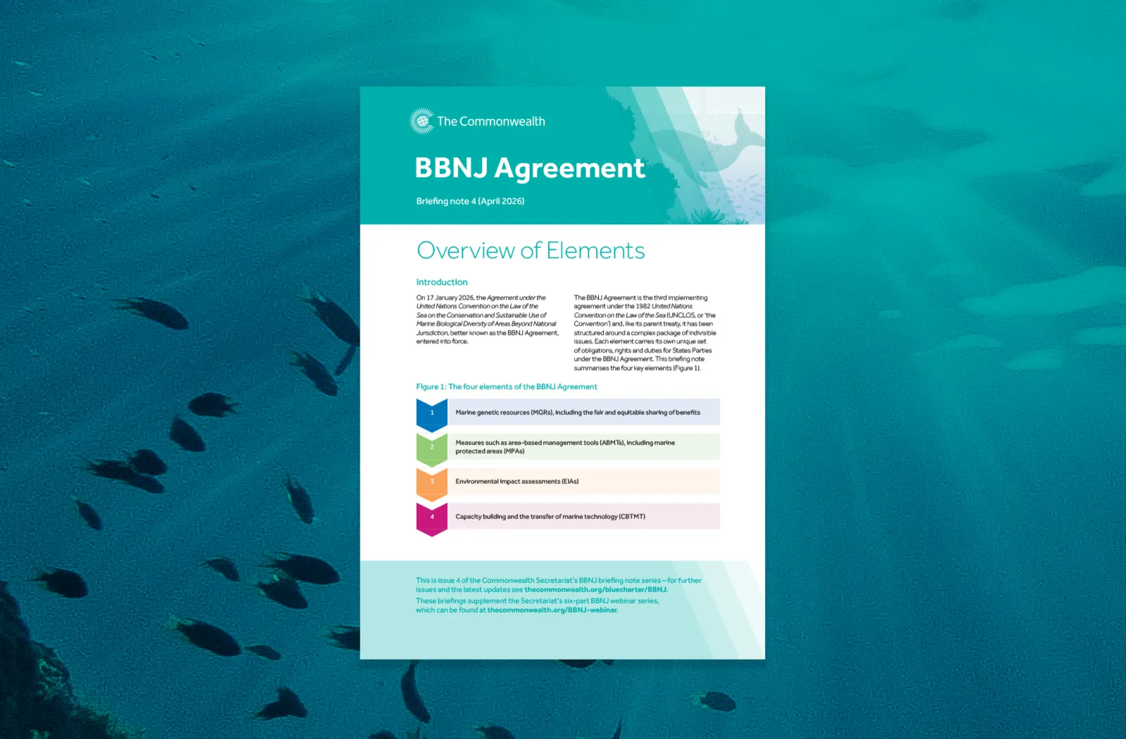 Cover image of BBNJ 4