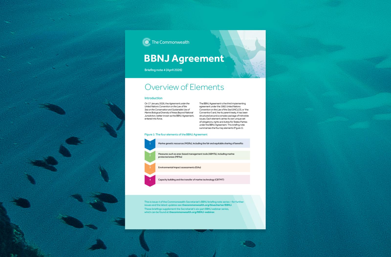 Cover image of BBNJ 4