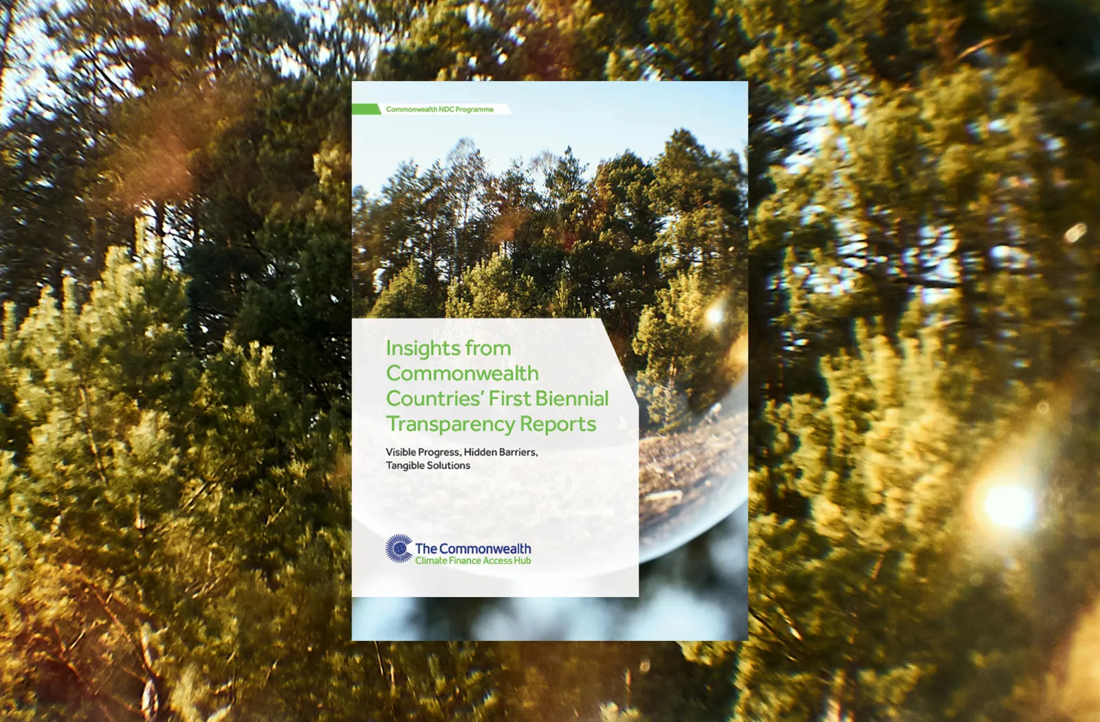 cover image of the 'Insights from Commonwealth Countries’ First Biennial Transparency Reports' publication