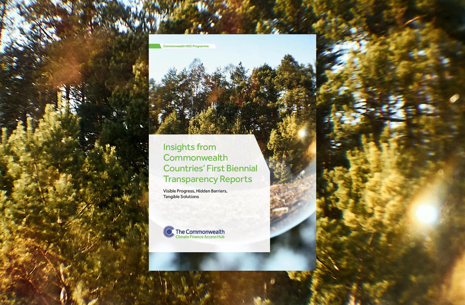 cover image of the 'Insights from Commonwealth Countries’ First Biennial Transparency Reports' publication