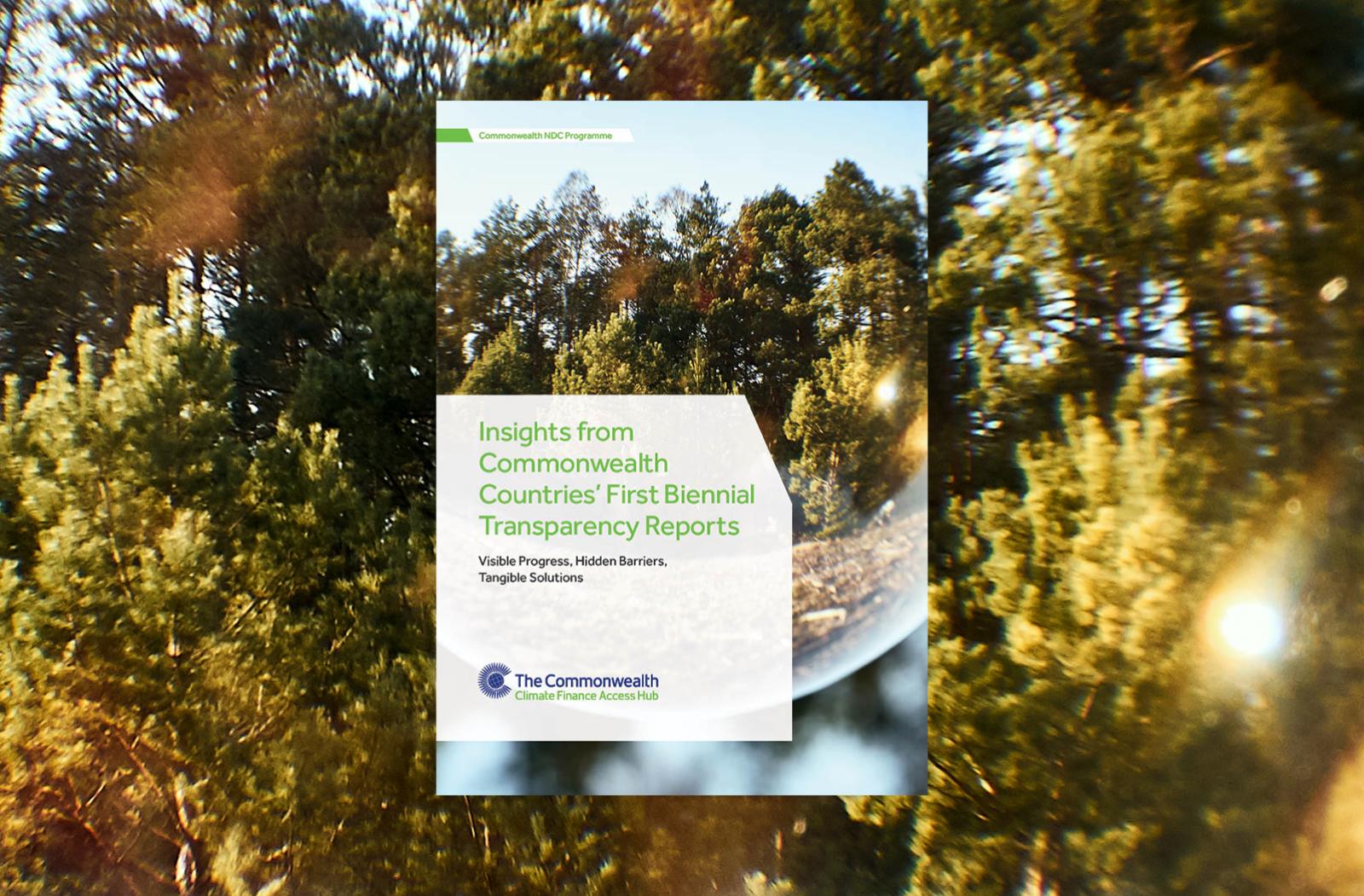 cover image of the 'Insights from Commonwealth Countries’ First Biennial Transparency Reports' publication