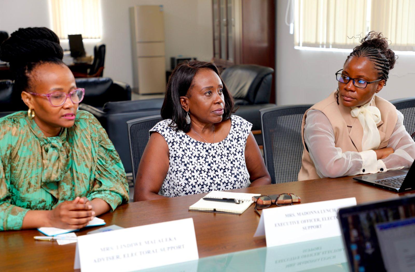 A Commonwealth team leading the pre-election assessment mission in The Gambia