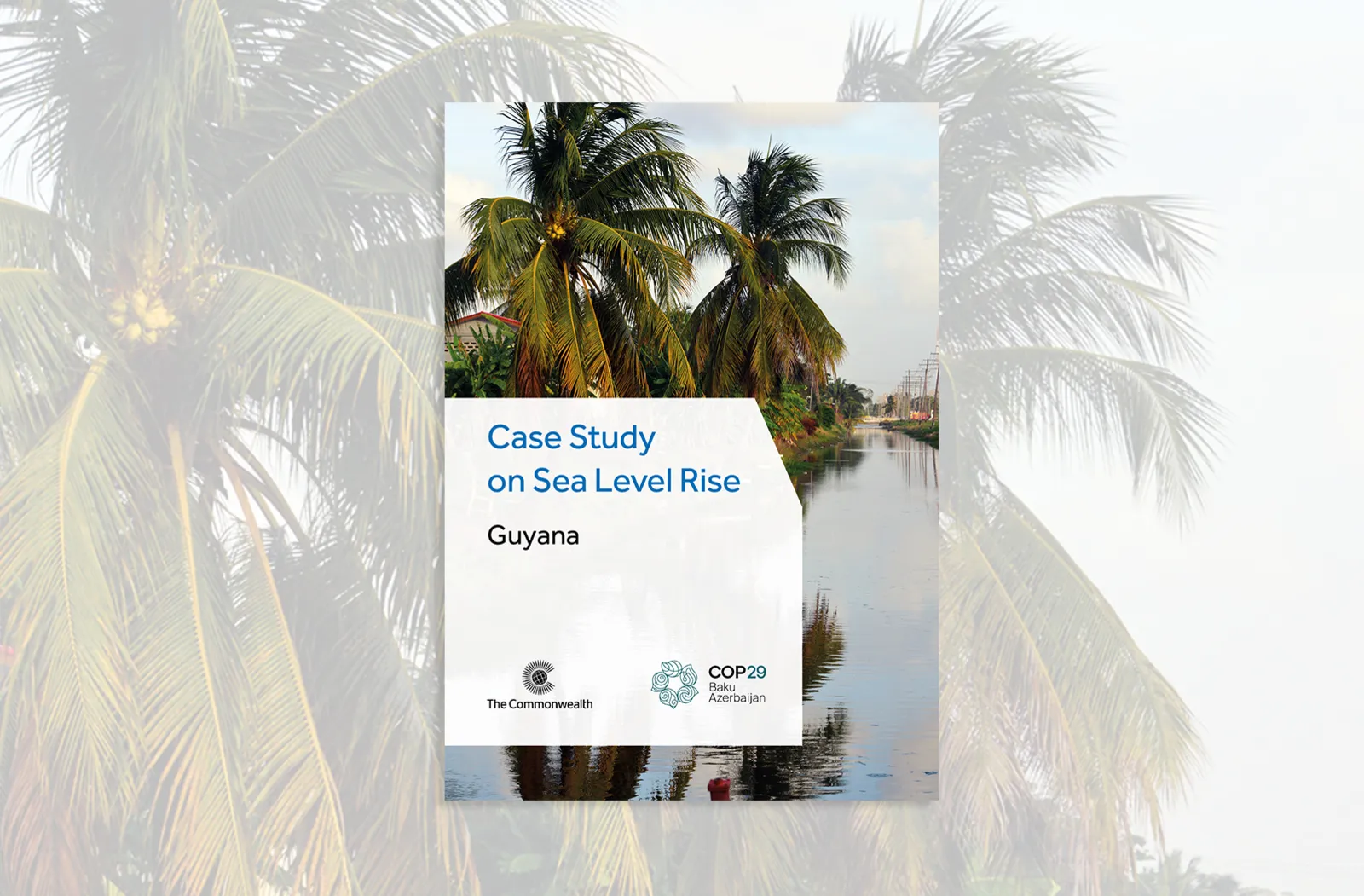 Cover image of Sea Level Rise - Guyana