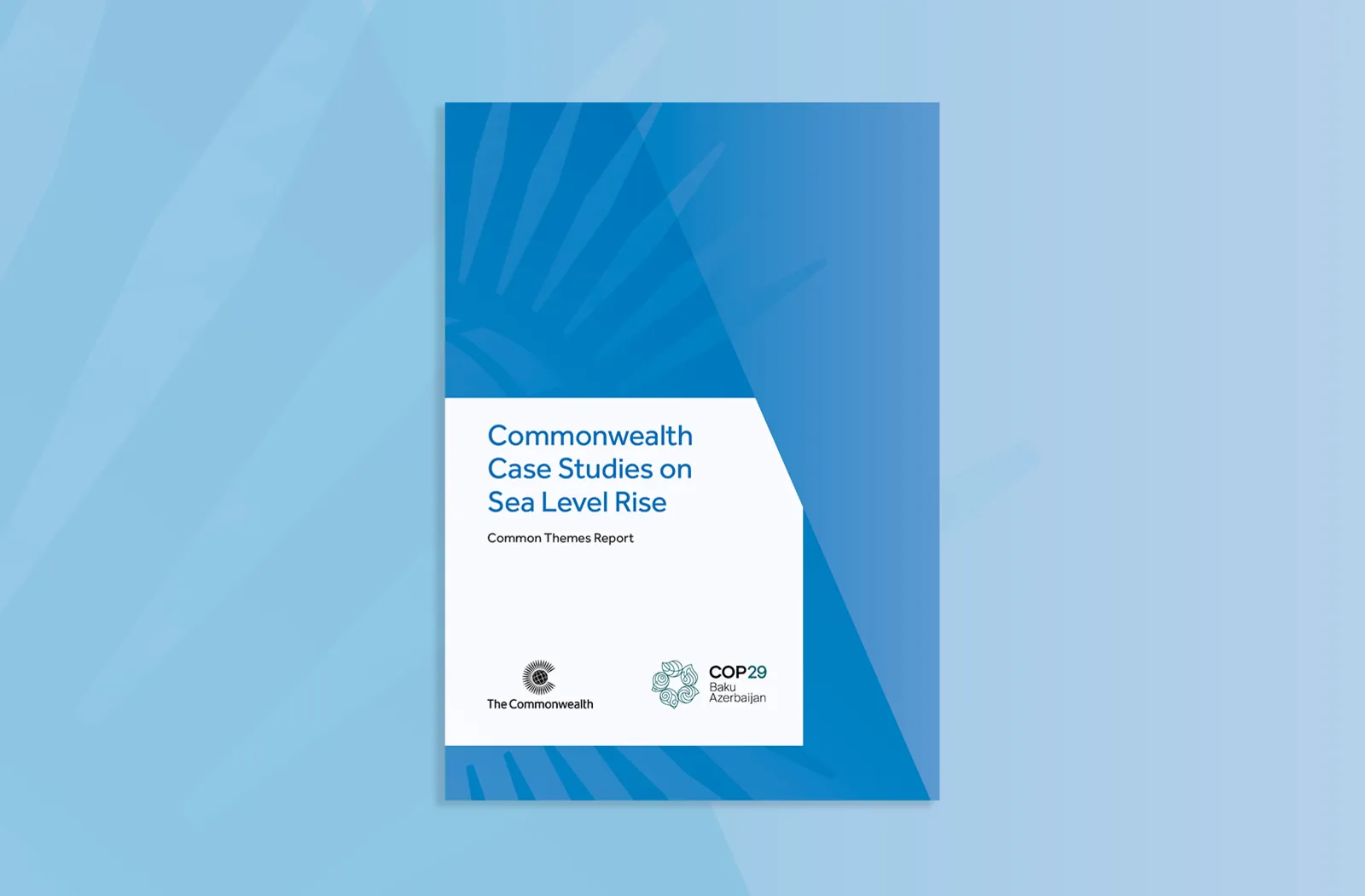 Cover image of Sea Level Rise companion paper
