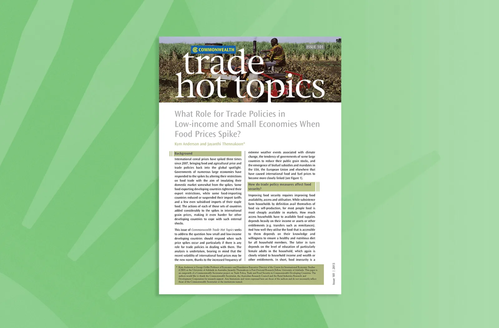 What Role for Trade Policies in Low-income and Small Economies When Food Prices Spike?