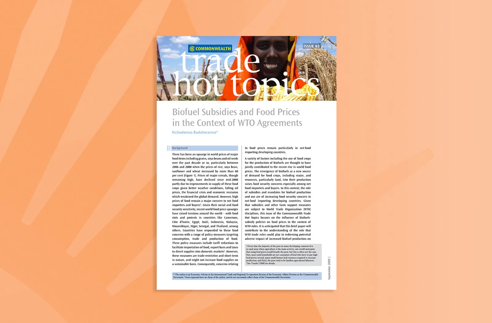 Biofuel Subsidies and Food Prices in the Context of WTO Agreements