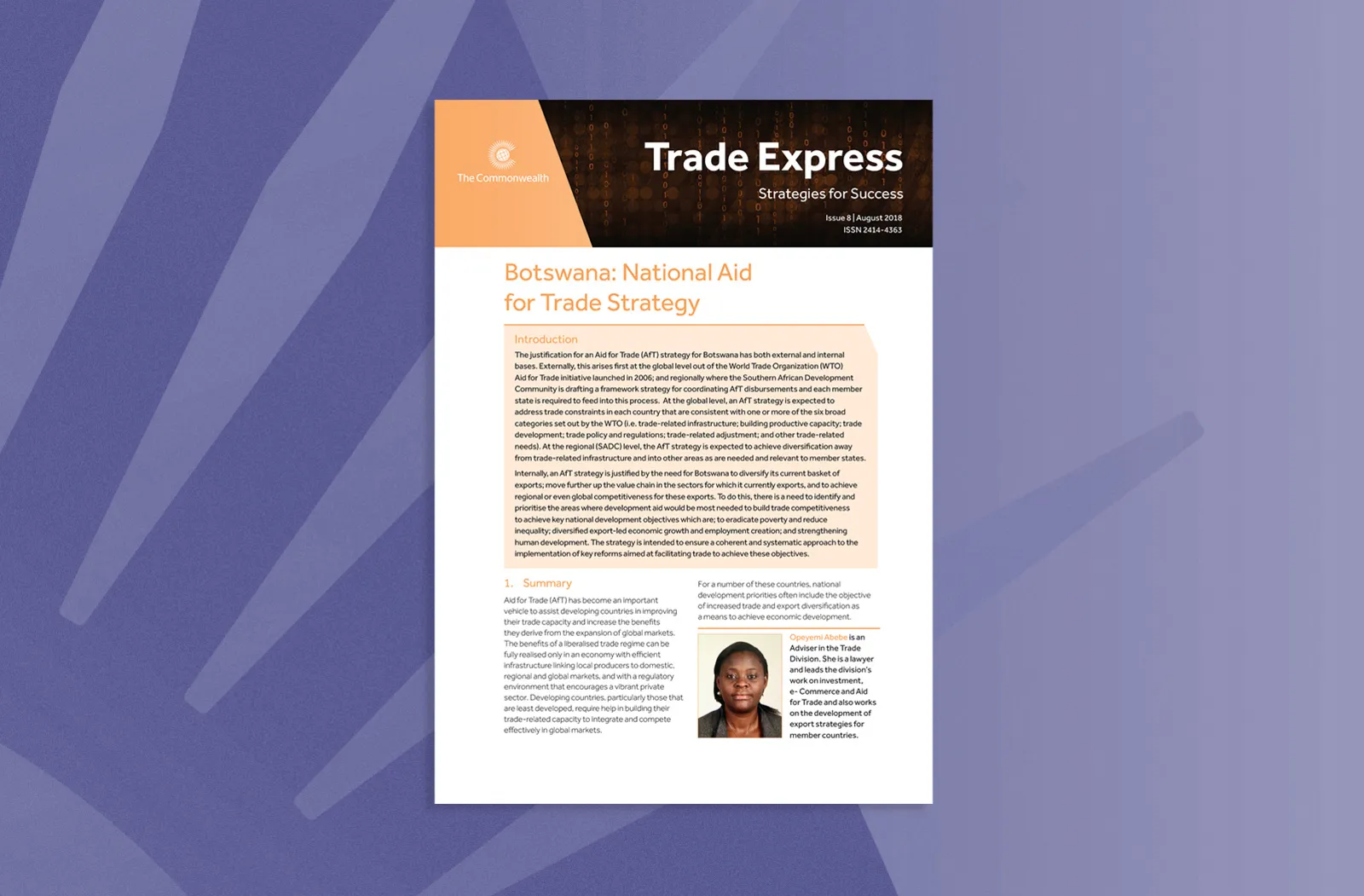 Botswana National Aid for Trade Strategy