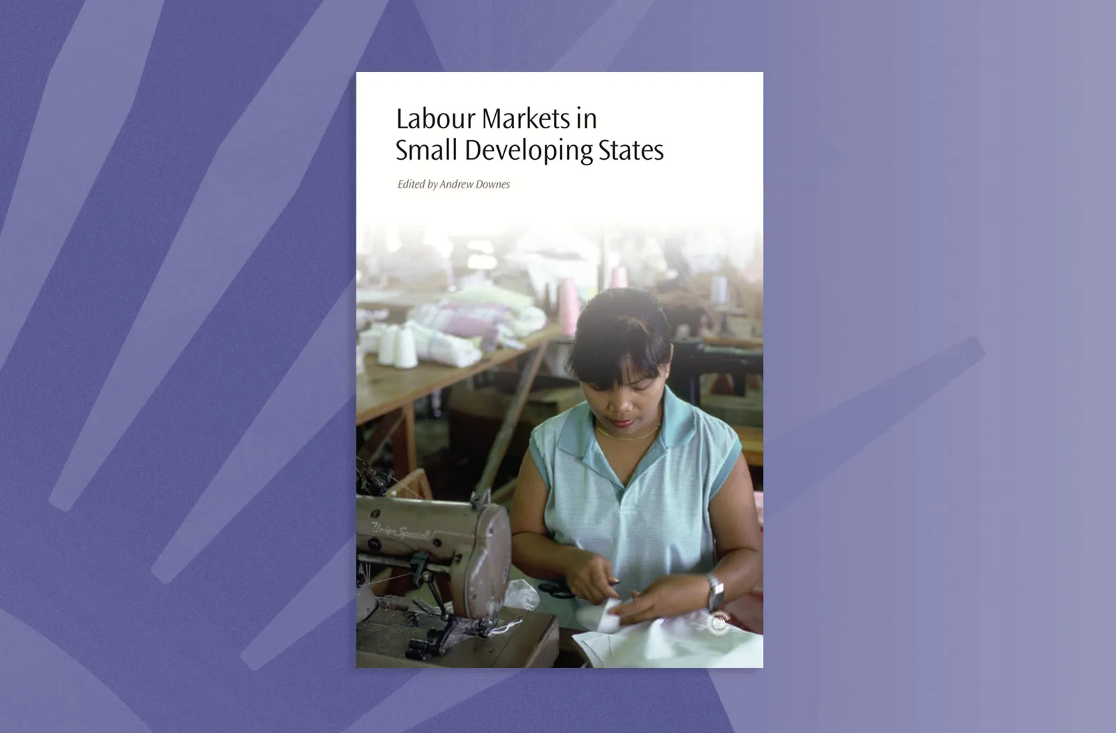 Labour Markets in Small Developing States