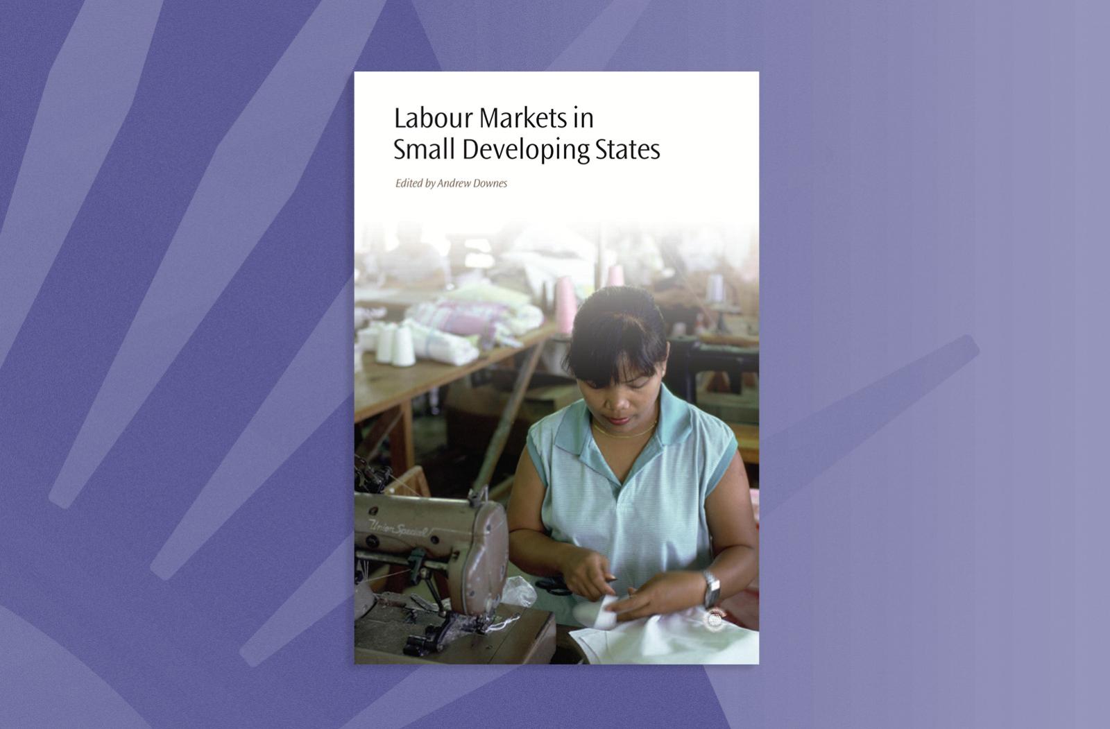 Labour Markets in Small Developing States