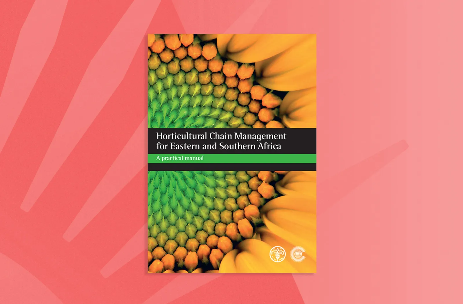 Horticultural Chain Management for Eastern and Southern Africa: A Practical Manual