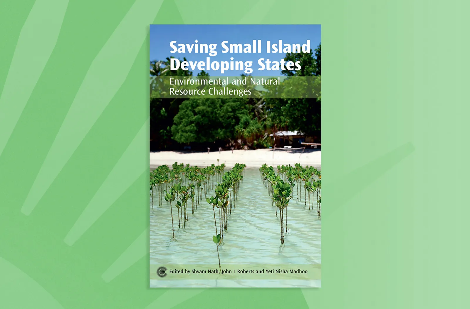 Saving Small Island Developing States
