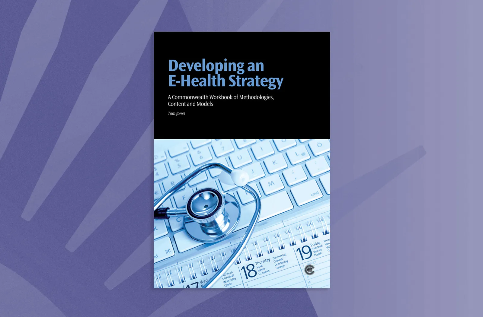Developing an E-Health Strategy