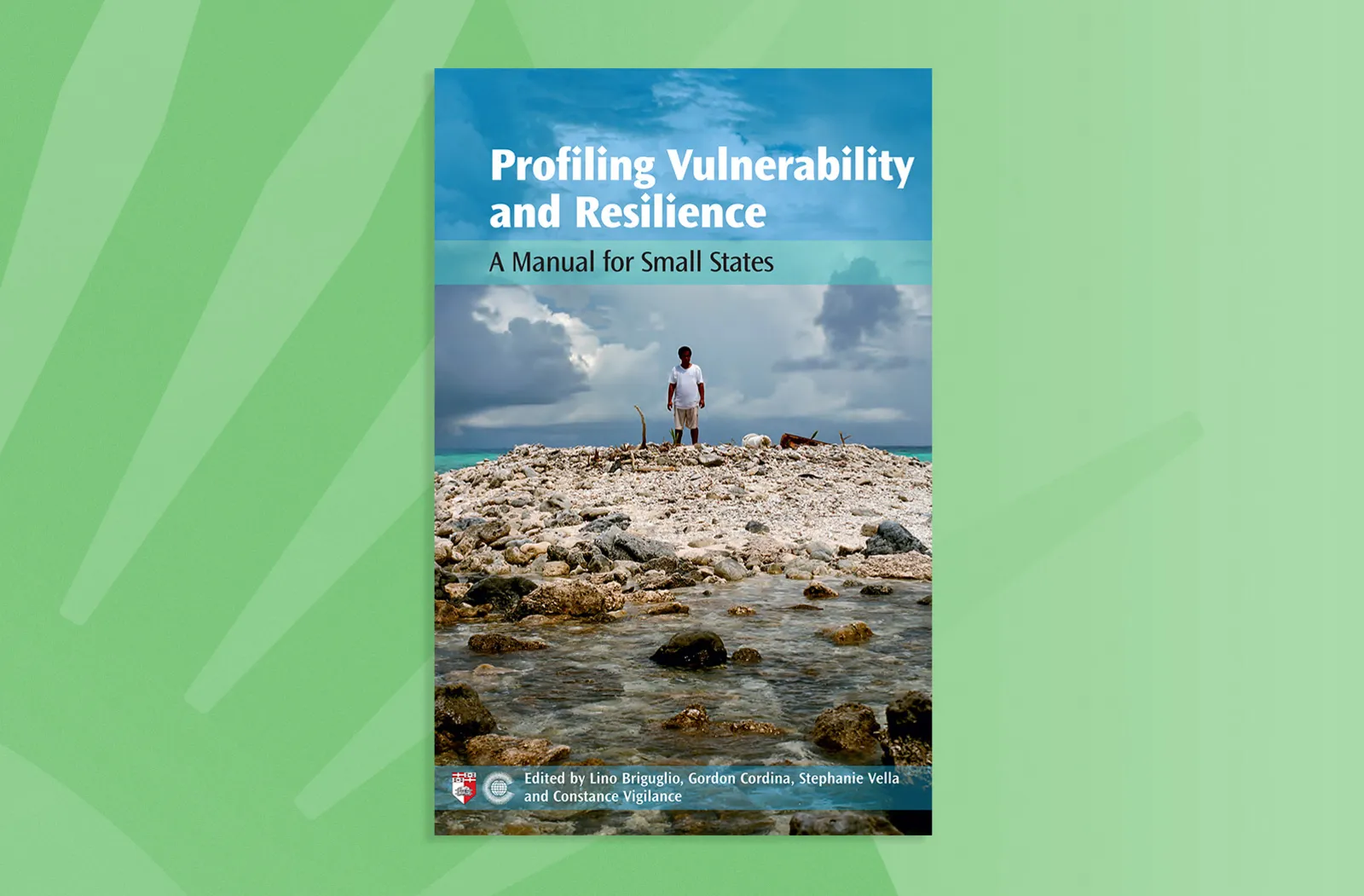 Profiling Vulnerability and Resilience