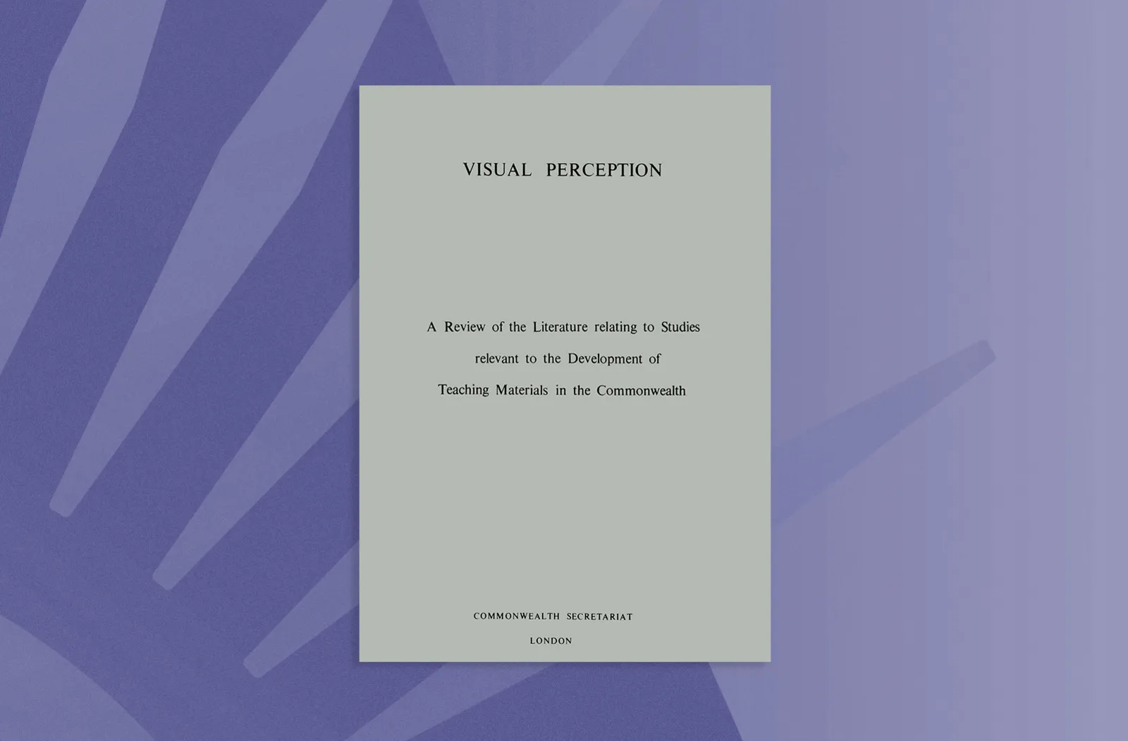 Visual Perception