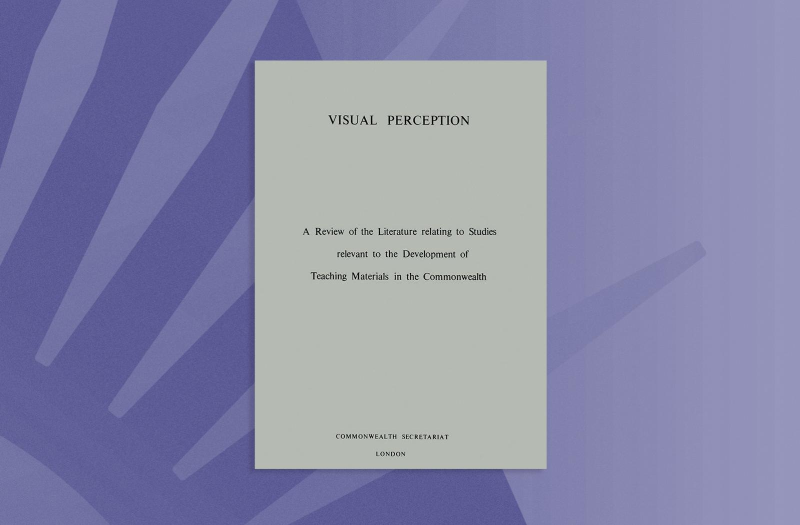 Visual Perception
