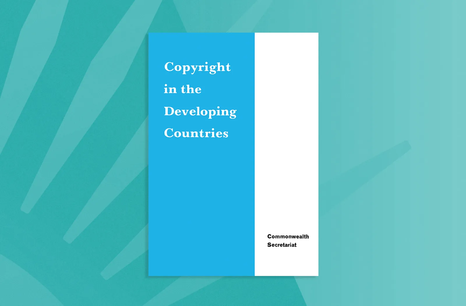 Copyright in the Developing Countries