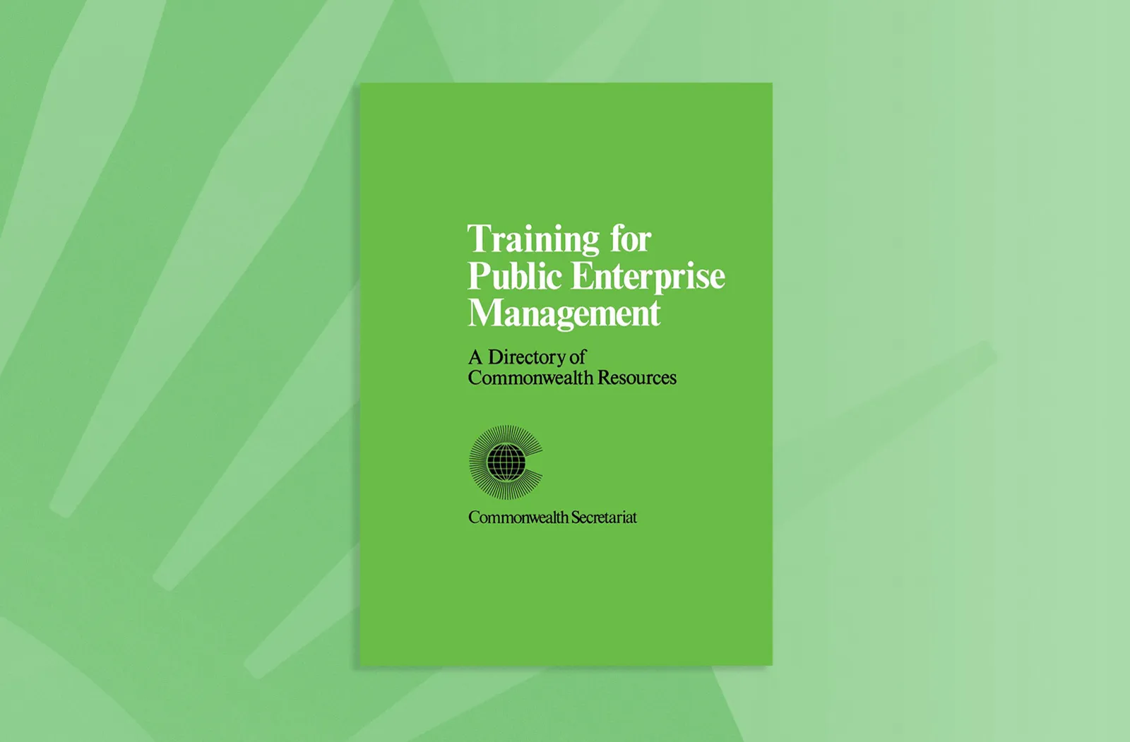 Training for Public Enterprise Management