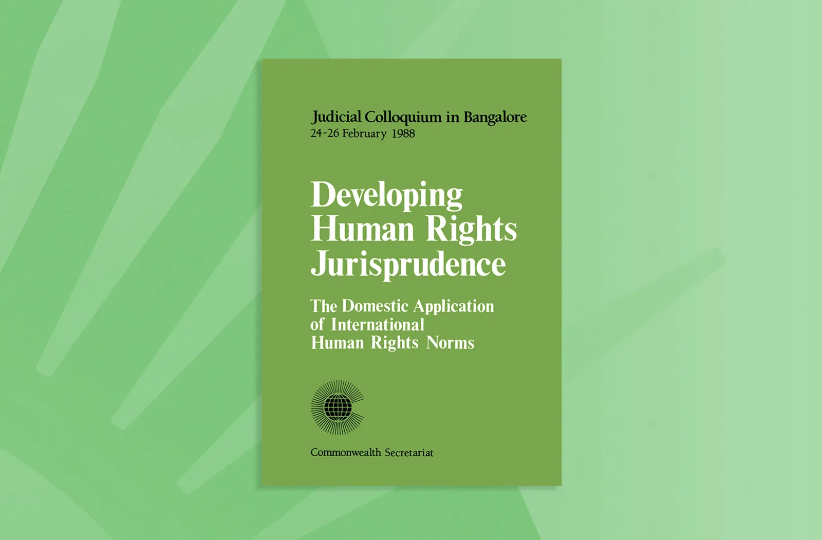 Developing Human Rights Jurisprudence